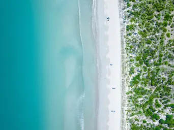 Bushland with beach and blue ocean