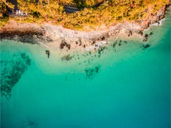 Arial image of beach