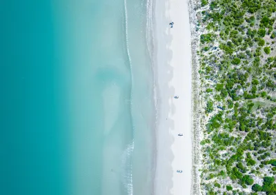 Bushland with beach and blue ocean
