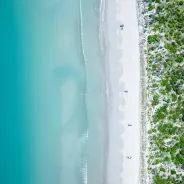 Bushland with beach and blue ocean